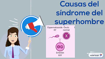 ¿El síndrome XYY es autismo?