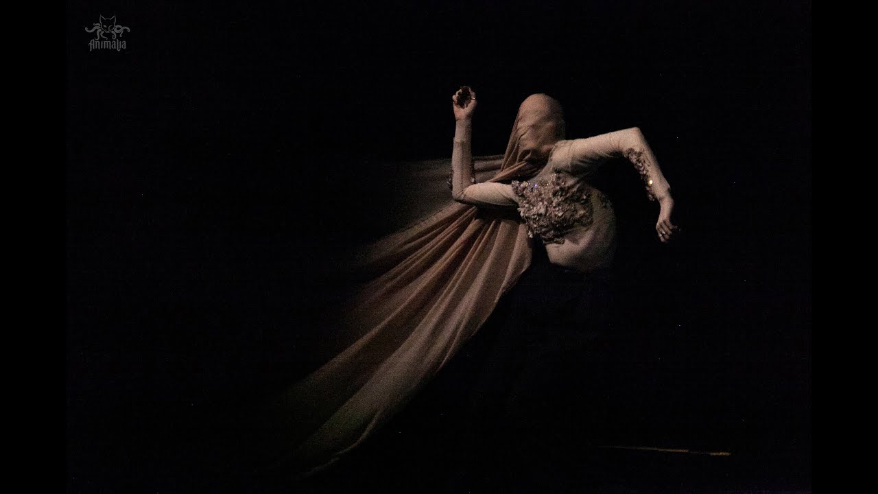 INTEGRAL SILENCE | ARINA YAKOVLEVA | J-TEAM FEST 2024 | ANIMALIA SHOW