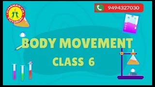 Body movements L9 screenshot 4