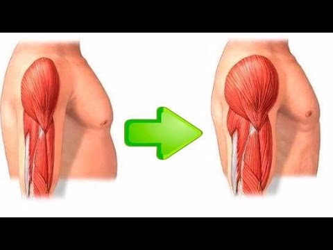 Hipertrofia | Bienestar