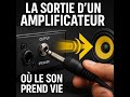 Quel est le role d’une entrée (Input)  et une sortie (output) dans un amplficateur audio ? part #2