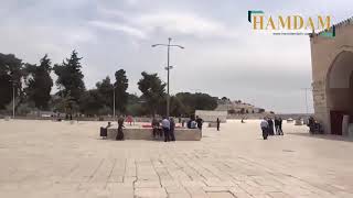 full HD video inside masjid al aqsa