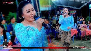 COCOK BUAT TEMEN NGOPI LANGGAM SAMBUNG WANCI DALU  -IIS TABITA HL MUSIC - ASNA PRO AUDIO