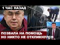 &quot;Уже, конечно, возраст, но очень жаль...&quot; Садальский высказался о смерти советской актрисы