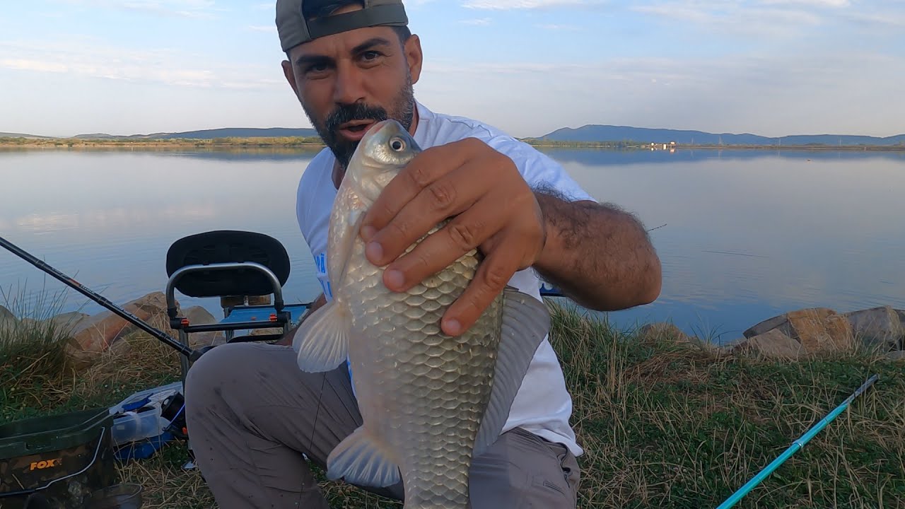 Am prins platici frumoase si caras mult si mare la feeder pe canicula. Pescuit cu abonații ep 3