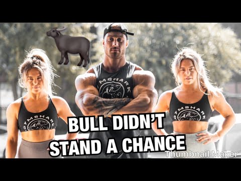 Insane Volume Shoulder Workout With K K Fit Twins Bull