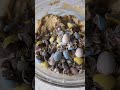 It’s Cadbury egg season! #recipe #shorts #cookiebars