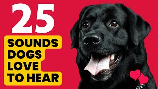 25 Sounds That Dogs Love To Hear The Most