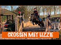 LIZZY SPRINGT OVER BOOMSTAMMEN  | PaardenpraatTV