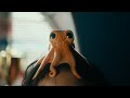 The Boy The Octopus CFX Workflows Untold Studios FMX HIVE 2025