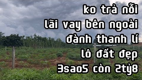 đến hạn không trả nỗi lãi vay bên ngoài đành bán lô đất đẹp giá rẻ gấp đôi  ở bà rịa vũng tàu