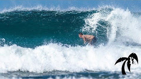 Sharks, Waves, Woman Barrels, Man Turns, Bad Drivers + Loads of Nosara, Costa Rica Community Stuff