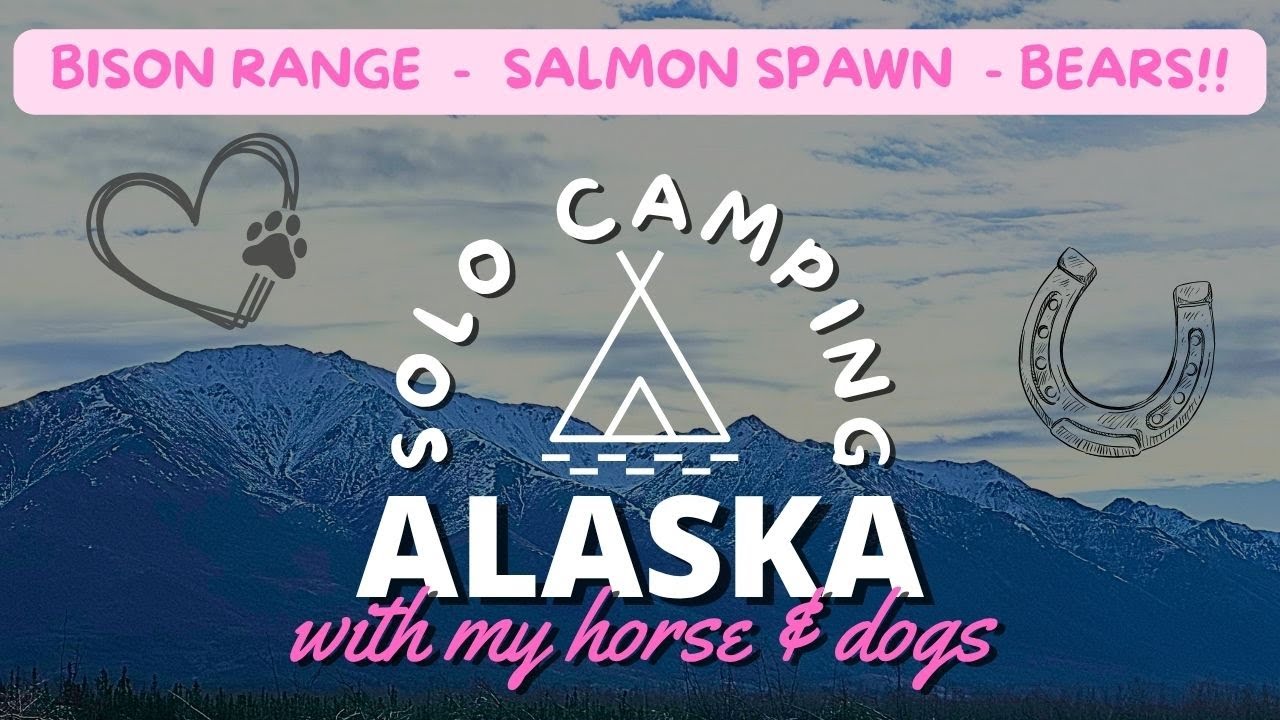 solo ALASKA CAMPING w/horse & dogs! Grizz tracks, bison range, salmon run. October camping adventure