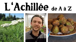 L'Achillée de A à Z (presque)