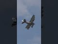 Fokker Dr.1 Farnborough Airshow