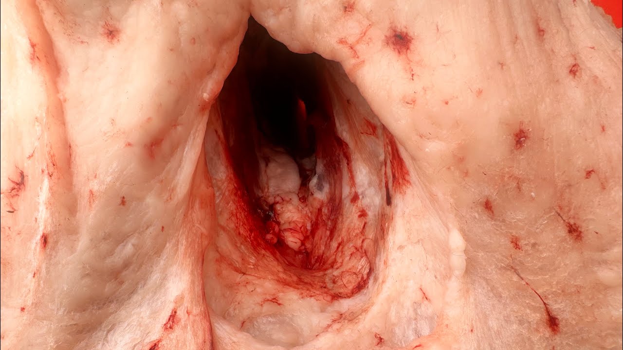 Самарканд! Омонкутан готовим сочный шашлык 