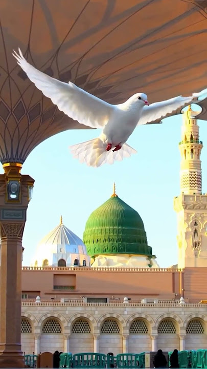 حيو الهادي بأجمل ذكرى #صلوا_على_النبي #الحج #عرفة
