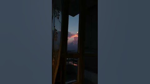 ما تيسّر من سورة هود | الشيخ: ياسر الدوسري🌿