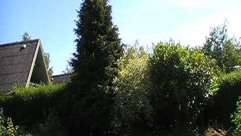 CopterX 450 tail problem and crash