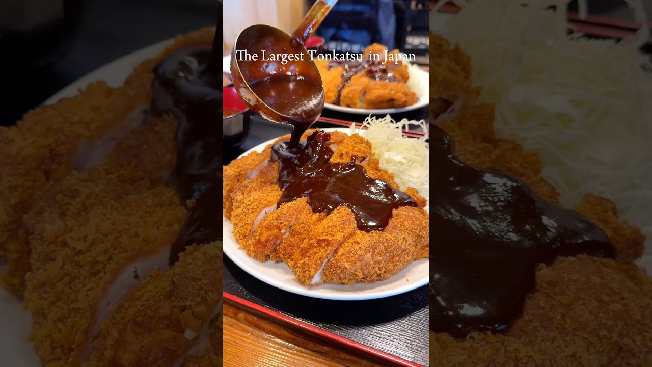 日本一大きい味噌カツ定食(Japan's Largest Miso Katsu Set Meal)