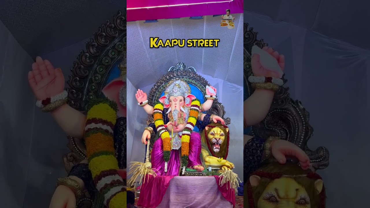 Ganeshas of Nellore Ep 3 