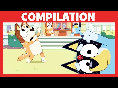 Bluey - Compilation : Un jour dans la vie de la famille de Bluey et Bingo