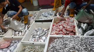 PASAR BORONG MERU BELI IKAN DGN HARGA LEBIH MURAH.