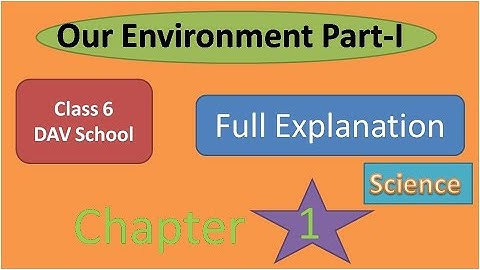 Chapter 1 Our Environment Class 6 DAV Science full explanation