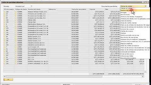 MISAP  Ventas - 02 - Informe Partidas Abiertas V1