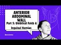 Anterior Abdominal Wall: PART 5: Umbilical Folds & Inguinal Hernias