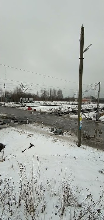 РЖД переезд. Мантурово. Костромская область. #shorts #мантурово #ржд # ...