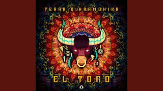 Video thumbnail of "Terra - El Toro"