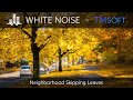 Fall Skipping Leaves: Cozy Autumn Ambience 10 Hour Sleep Sound - Black Screen