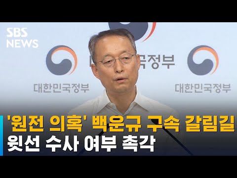 &amp;#39;<strong>원전</strong> 의혹&amp;#39; 백운규 구속 갈림길…윗선 <strong>수사</strong> 여부 촉각 / SBS