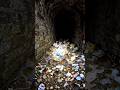 Worm Camera Goes Underground… Finds a Secret Rat Colony 😳 #ai #shorts #usa