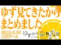 ゆずのみ拍手喝祭ドームツアー  2019.5.30.東京ドームに行ってきたのでまとめました