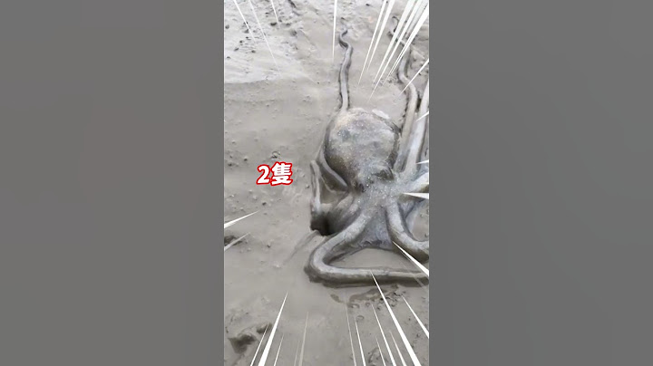 章魚軟骨功鑽比身小1/2洞！僅靠21秒絲滑開溜太震撼@newsebc