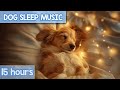 Extralong soothing music for dogs  antianxiety asmr