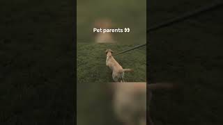 Pet Parenting Point Of View | Funny Dog Video |  #Doglovers #Dog