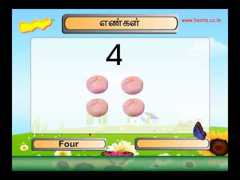 Tamil Language Structure Writing Alphabet Mustgo