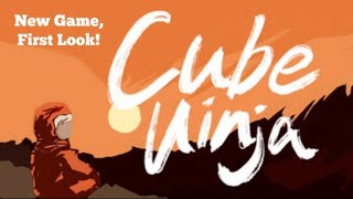 New Game, First Look!  - Cube Ninja. screenshot 4