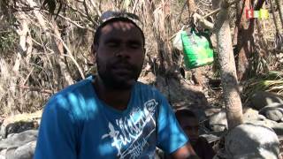 Cyclone PAM Testimony