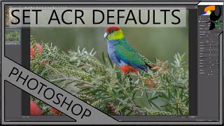 Adobe Camera Raw - New Way to Setup Defaults