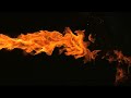 End of video