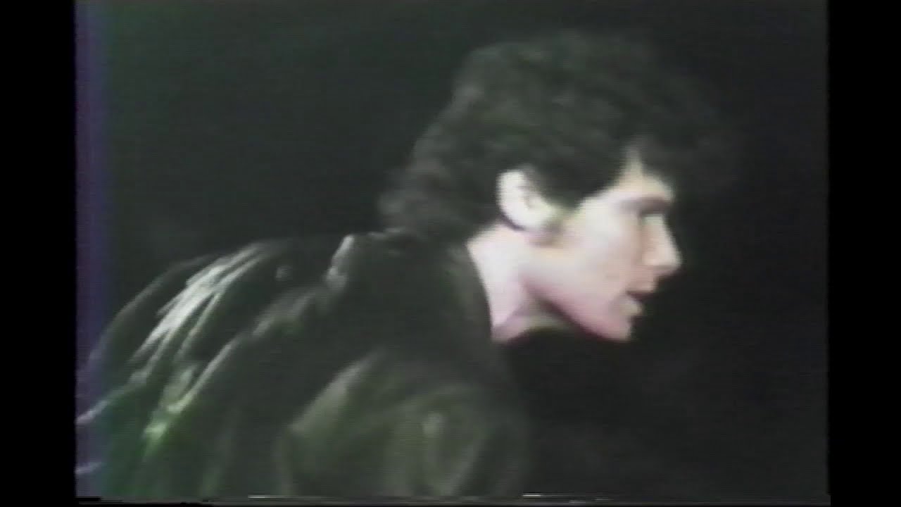 L.A.punk13 PUNK CONCERT Sampler ALL filmed by Video Louis Elovitz 1980s