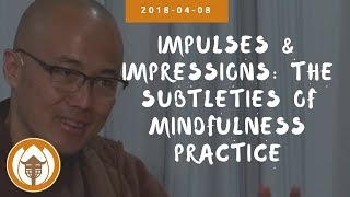 Impulses & Impressions, the Subtleties of Mindfulness Practice  Br Phap Dung | 2018 04 08