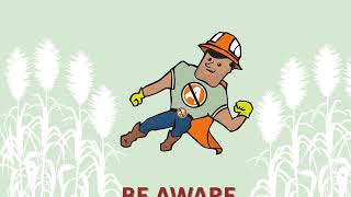 Lessons from Arundo Control Man: Prevent this invasive plant from taking over Texas