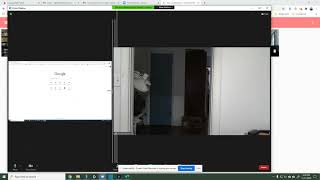 Side by side Speaker mode for better Zoom meetings
