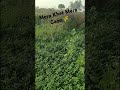 #please like and subscribe #trending