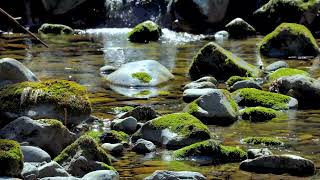 石がゴロゴロ　川のせせらぎ　5時間　作業用　睡眠用　落ち着く自然の音relaxing nature video